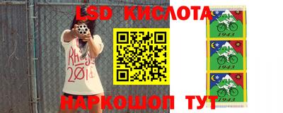 твердый Новокубанск