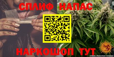 твердый Новокубанск