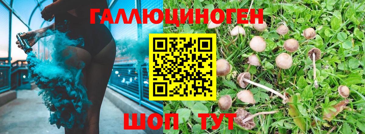 Галлюциногенные грибы ЛСД Учалы