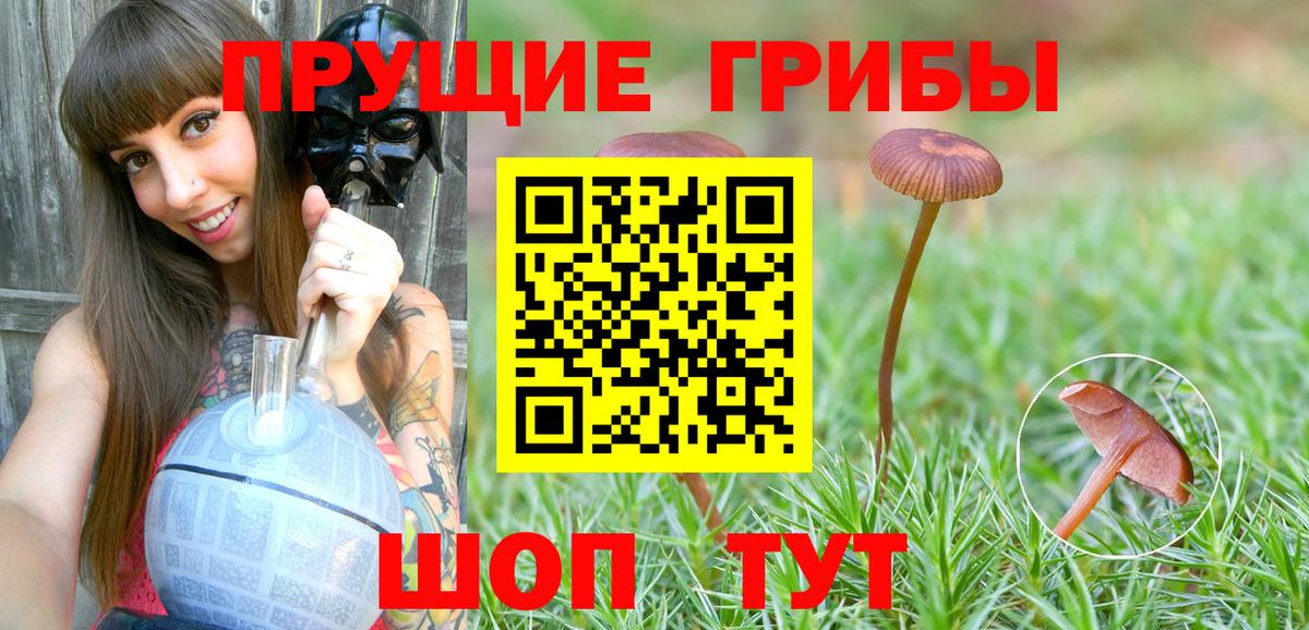 дарнет шоп  Вход с VPN  Учалы  Галлюциногенные грибы GOLDEN TEACHER 